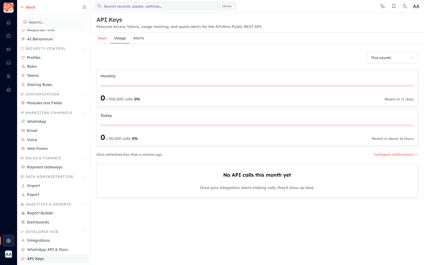 The API Keys Usage tab — monthly and daily quota usage