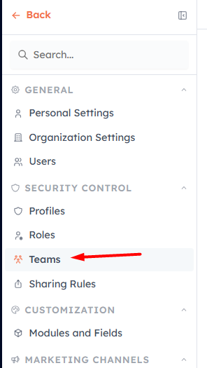 Teams option highlighted under General in the Settings sidebar