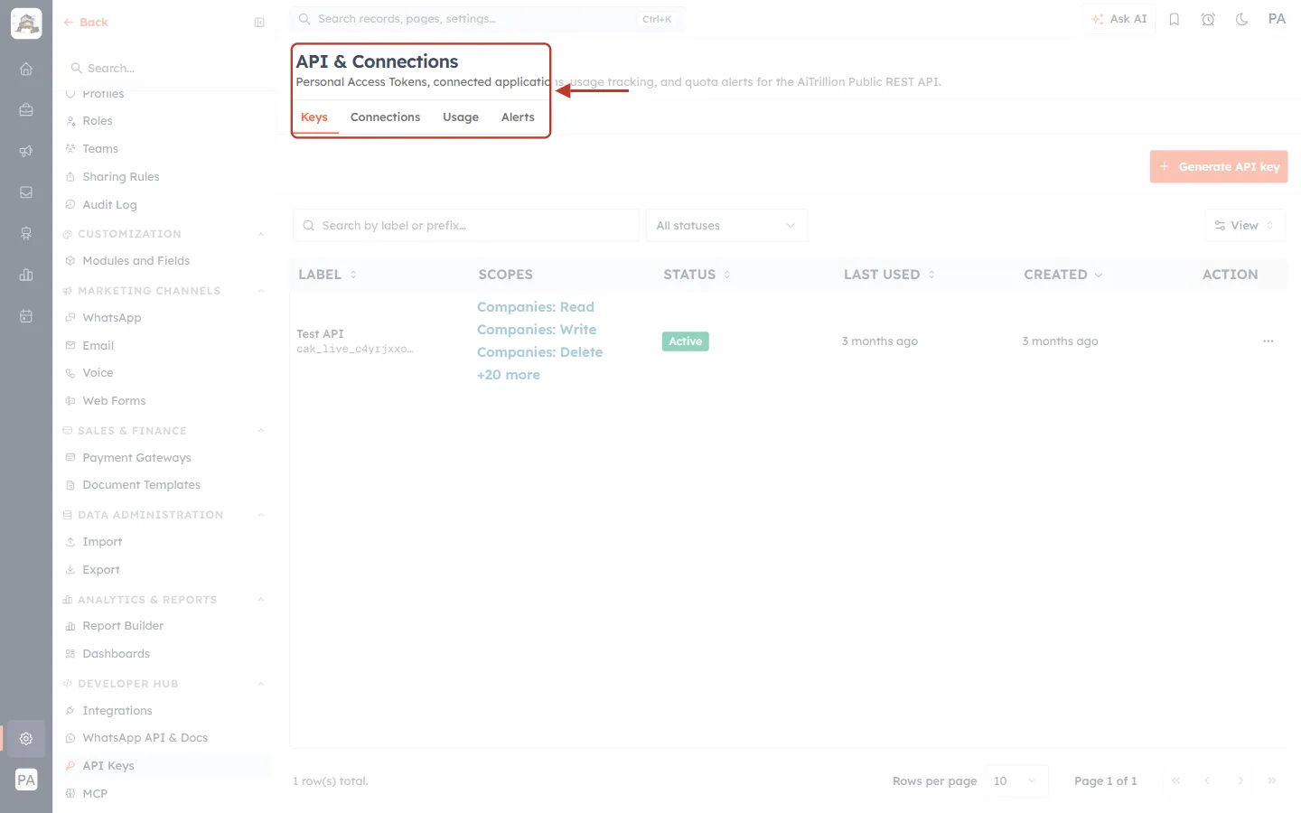 The API & Connections page header and tabs