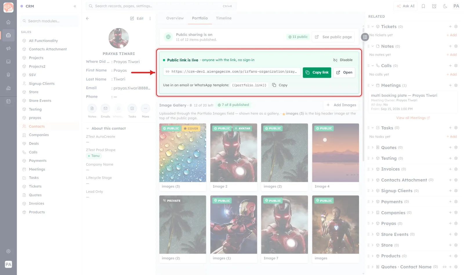 The Public link is live block ringed in red with an arrow pointing at it. It reads anyone with the link, no sign-in, shows the public URL, and offers Copy link and Open buttons with a Disable control on the right.