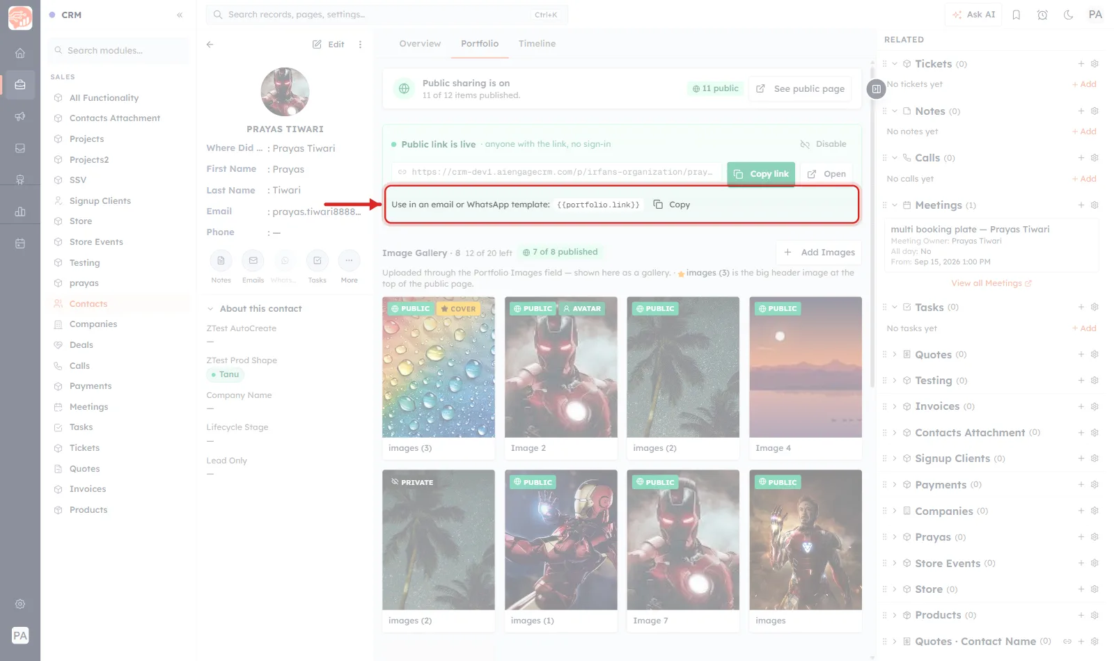 The merge tag row ringed in red with an arrow pointing at it, reading Use in an email or WhatsApp template with the tag portfolio.link in braces and a Copy button.