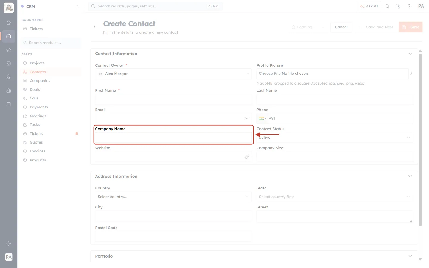 Company Name with a red asterisk on the Sales form